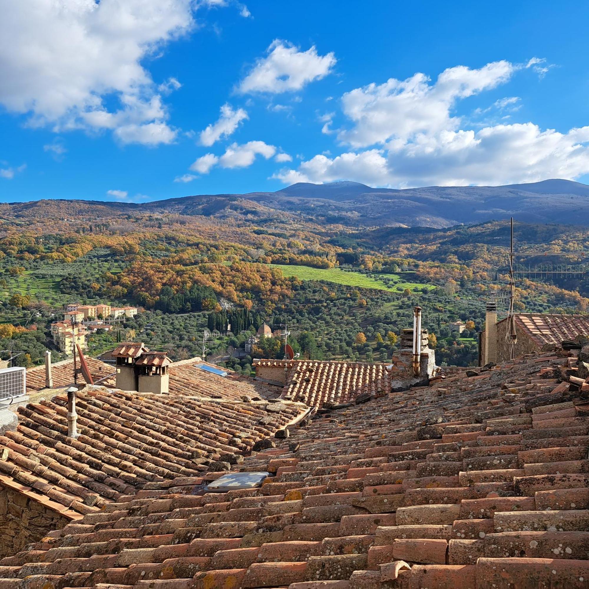 Antica Abitazione Con Vista Montagna Casa Norma Leilighet Seggiano Eksteriør bilde