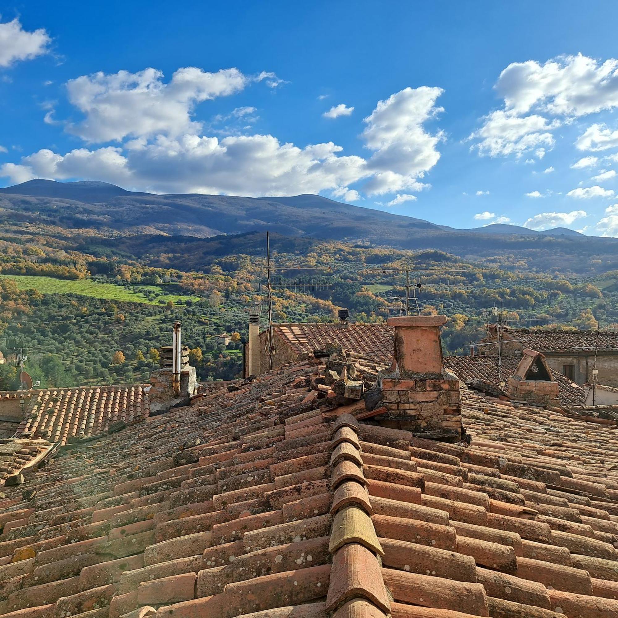Antica Abitazione Con Vista Montagna Casa Norma Leilighet Seggiano Eksteriør bilde